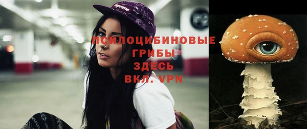 крисы Белокуриха