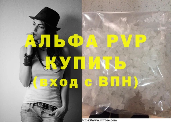 крисы Белокуриха