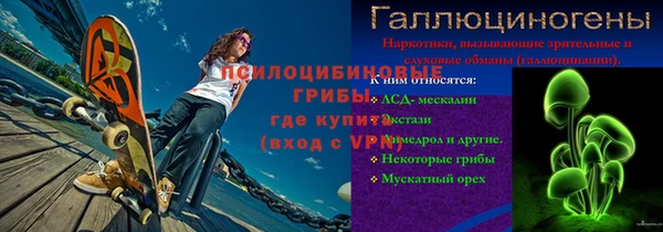 крисы Белокуриха