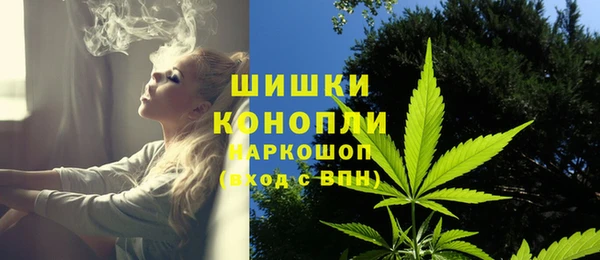 дмт Богородск