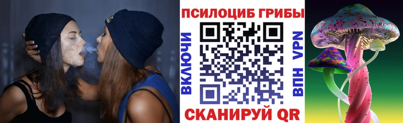 купить  цена  Миасс  Псилоцибиновые грибы ЛСД 