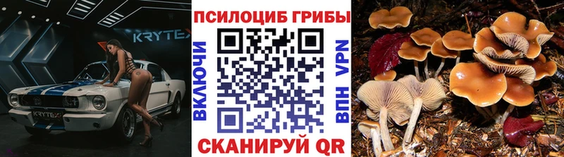 Псилоцибиновые грибы прущие грибы Миасс